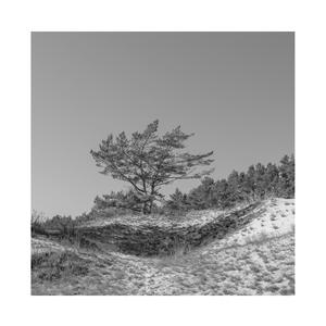 欲梦走光福利无删减在线视频
